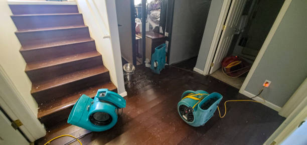 Best Water damage restoration near me  in Atglen, PA