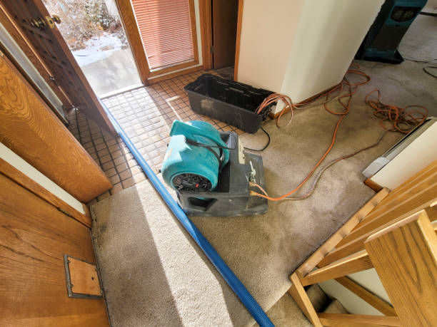 Best Professional water damage repair  in Atglen, PA
